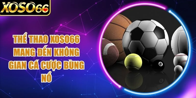 Thể Thao Xoso66 Mang Đến Không Gian Cá Cược Bùng Nổ